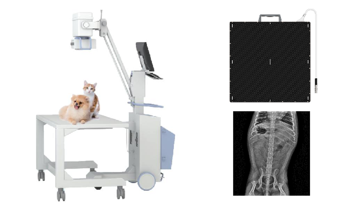 X-ray-flat-panel-detector-for-pet-medical-testing